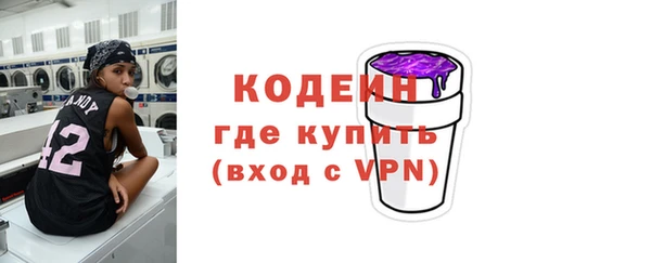 индика Баксан