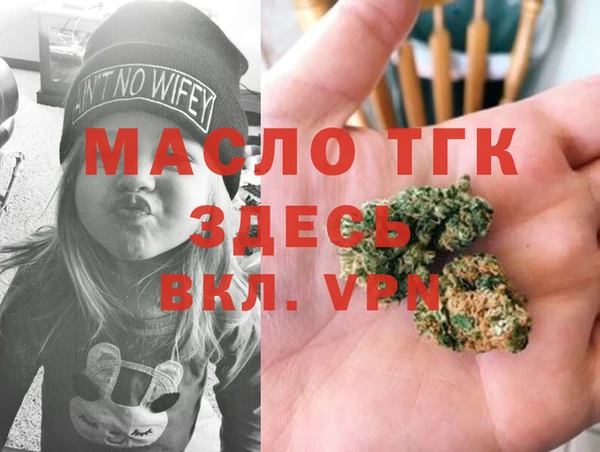 индика Баксан