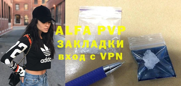 индика Баксан