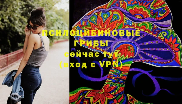 амф Балахна