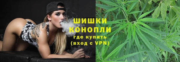 индика Баксан